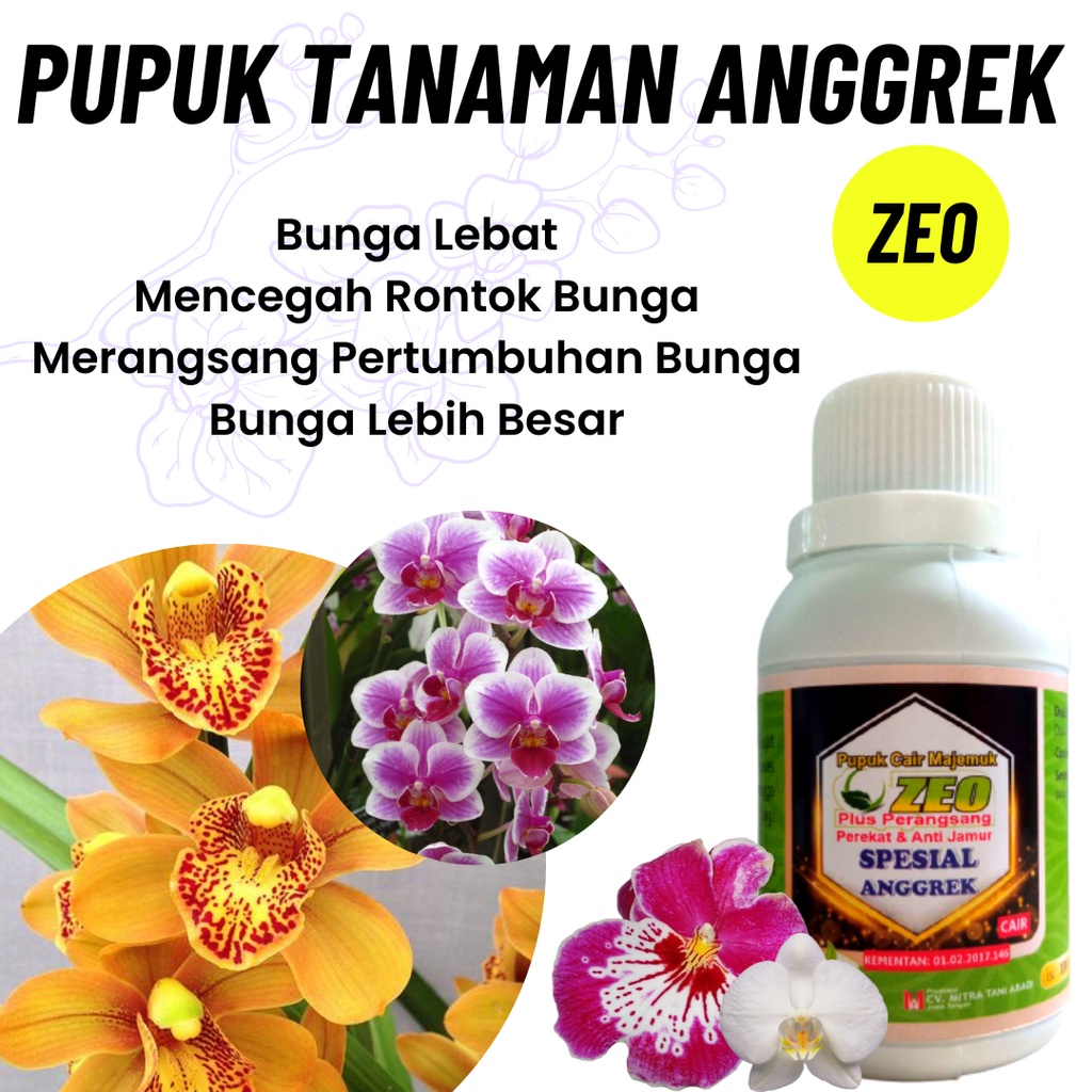 Pupuk Anggrek Agar Cepat Berbunga, Pupuk Anggrek Bulan, Pupuk Pelebat Bunga Anggrek Anti Rontok