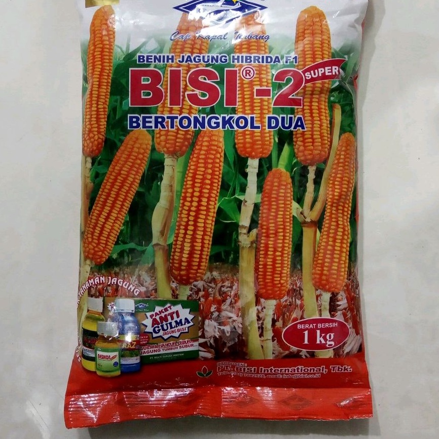 benih jagung BISI 2 1 kg biji jagung hibrida dari bisi kapal terbang bisi 2 bisi2