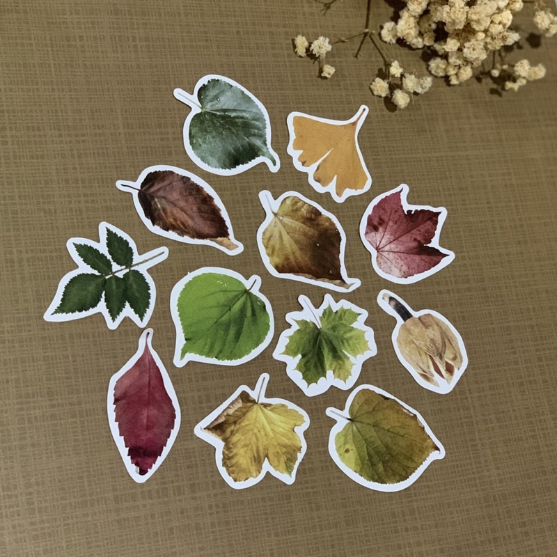 

autumn leaf deco stickers