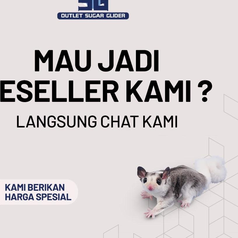 TRAVEL POUCH / BONDING POUCH TAS SUGAR GLIDER / TUPAI TERBANG