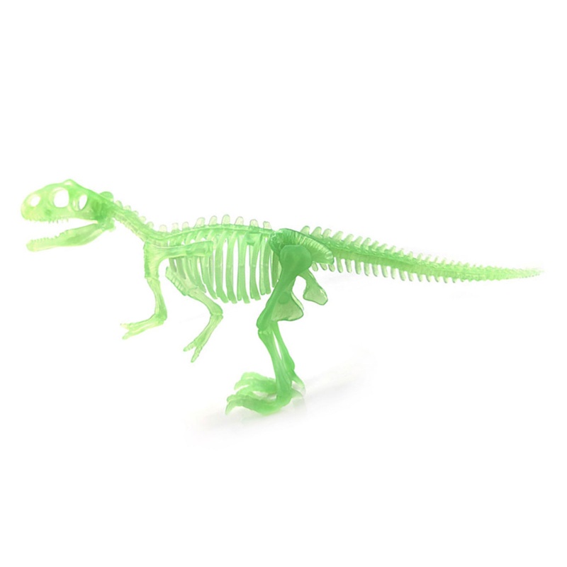 Mary Mainan Bangunan Model Kerangka Dinosaurus Figurine Mini Untuk Kolektor Hobi Anak