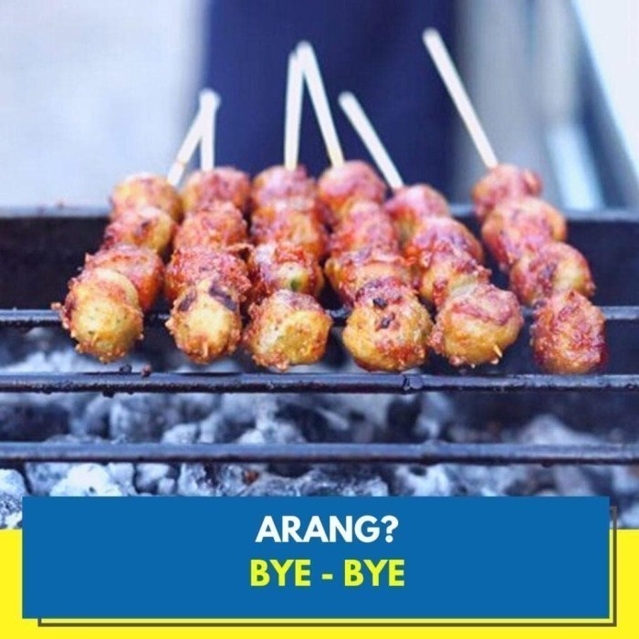 PEMANGGANG SEHAT TIDAK PAKAI ARANG / HEALTHY GRILL PRAKTIS