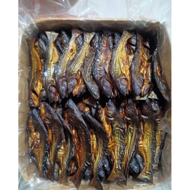 

IKAN ASAP PATIN/ IKAN PATIN SALAI ASLI DARI PADANG