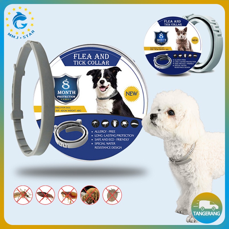 Kalung Kucing Anjing Anti Kutu Dan Nyamuk/Protection Kalung Anti Kutu Anjing Collar/Protection Anti Flea Hewan