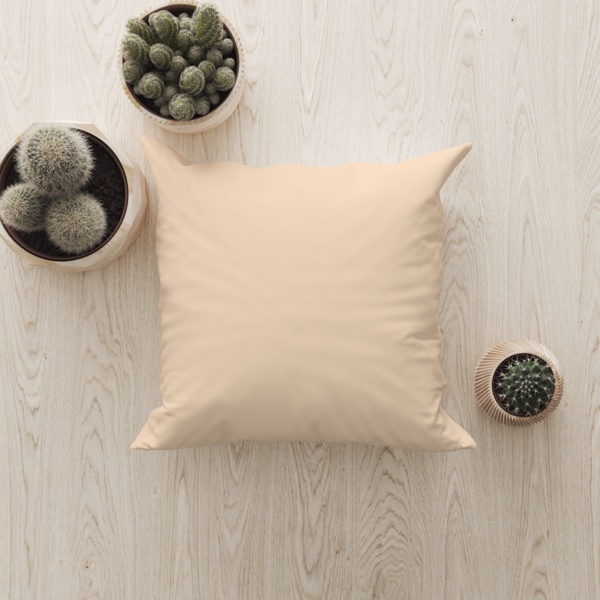 Kintakun Home Bantal Sofa