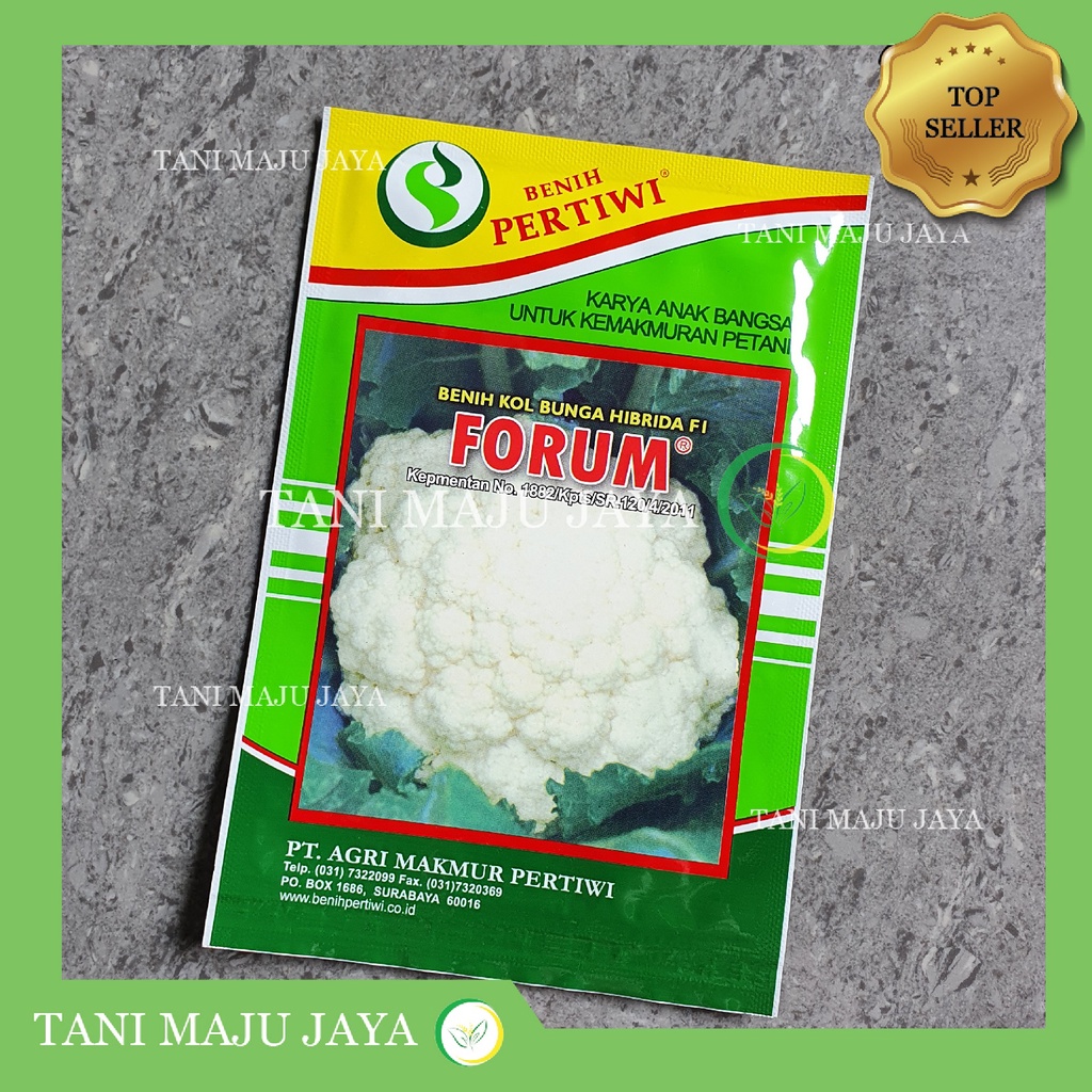 Benih kol bunga hibrida F1 Forum 10 gram