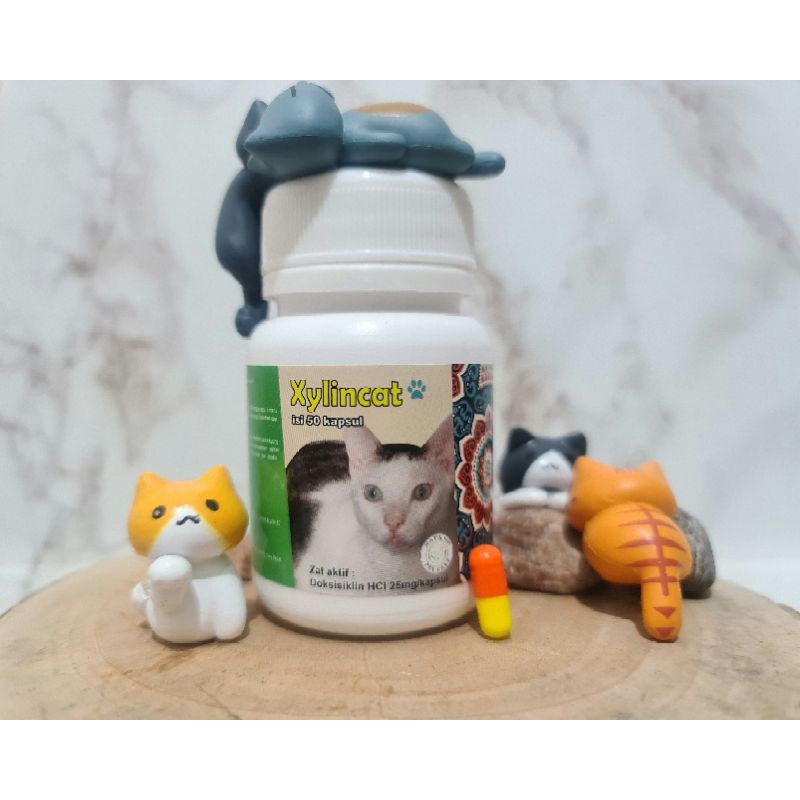 Xylincat flu demam sariawan calici parasit darah kucing 50 kapsul 1 botol