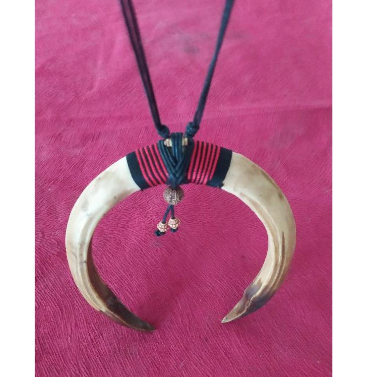 ➠ Sepasang taring babi | sepasang kalung taring babi ㅍ