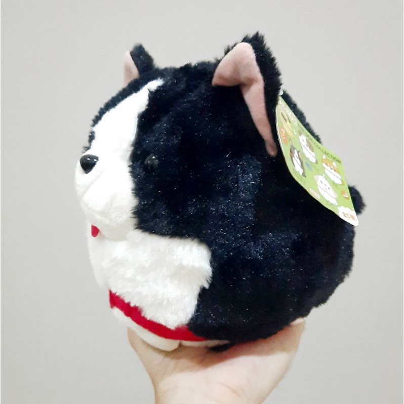 Boneka Amuse Guguk Boston Terier Bulu Mengkilap Original Size 20 cm