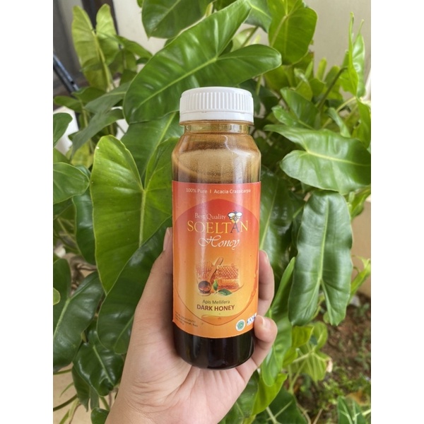 

Madu Soeltan Acacia Crassicarpa