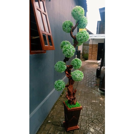 TINGGI 210CM BONSAI MARIGOLD IMPORT JUMBO KWALITAS CLASS SUPER// POHON BONSAI BOLA 2MTR// POHON BONS