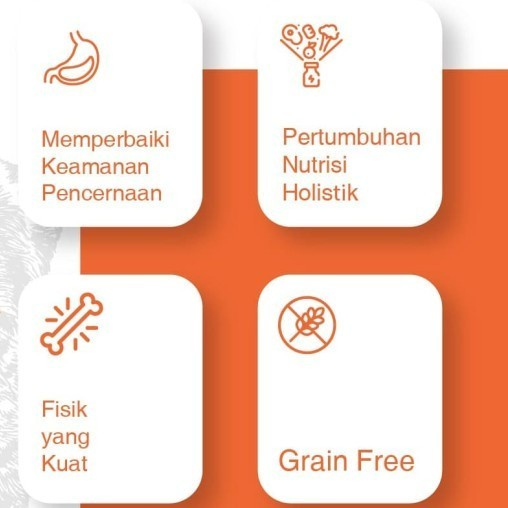 Kitchen Flavor Grain Free Baby Cat Kitten 1kg Kitchen Flavor Kitten