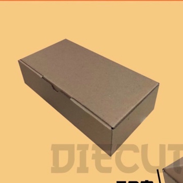 

20x10x3 Box Pizza kardus packaging