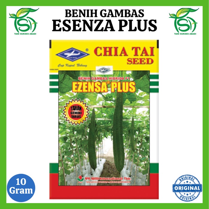 Benih Gambas ESENZA PLUS (10 Gram) - Bibit Oyong Hibrida F1 BISI Cap Kapal Terbang