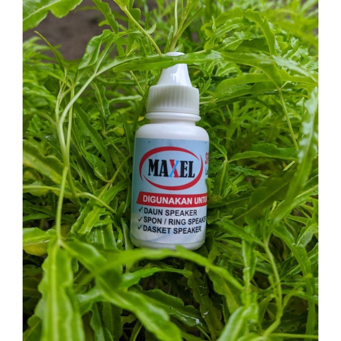 Lem speaker maxel khusus untuk daun speaker, spon/ring speaker, dasket speaker / 30ml