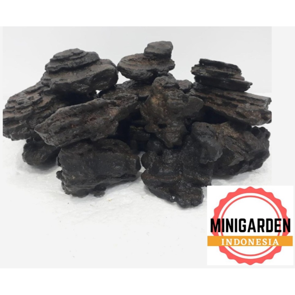 BATU BESI AQUASCAPE ECER 1KG iron stone batu hias aquarium unzan stone