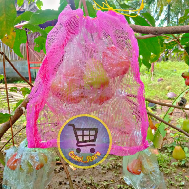 fruit cover brongsong pembungkus buah mangga jambu anggur