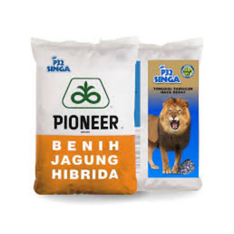 Benih Jagung Pioner P32 Singa