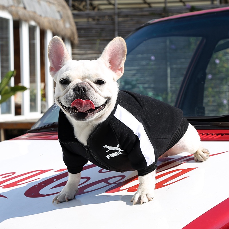 Zipper Street Wear Sweatshirt Huruf Printing Hangat Anjing Kucing Pakaian Hewan Peliharaan