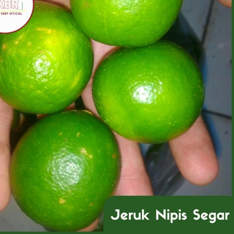 

Best Terlaris Jeruk Nipis❇