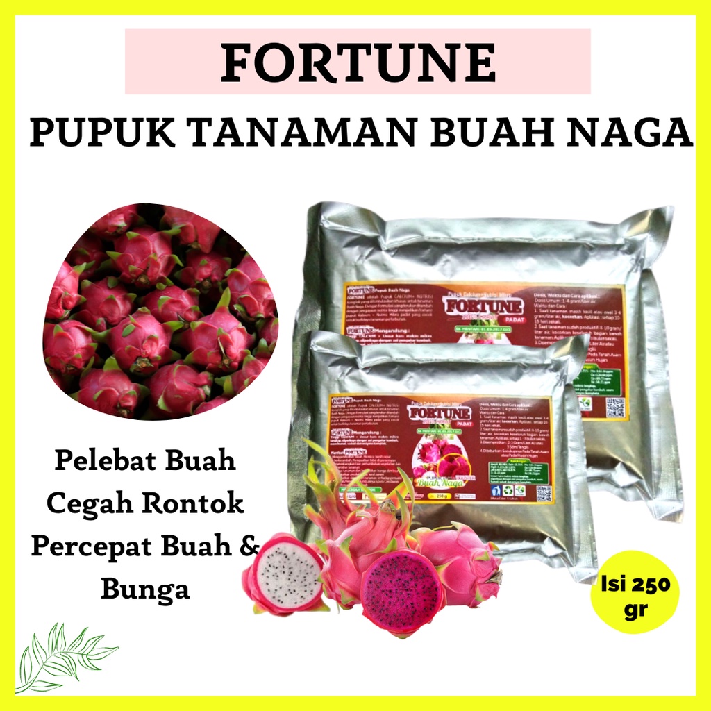 Pupuk Pelebat Buah Naga, Pupuk Tanaman Buah Naga Awal Tanam, Pupuk Buah Naga Cepat Berbuah