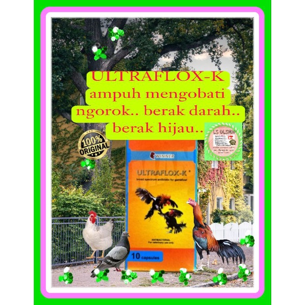 1 BTOL ULTRAFLOX-K 10 BUTIR OBAT AYAM NGOROK SNOT BURUNG MERPATI LEMAS SETELAH LOMBA PERJALANAN JAUH OBAT COCI DIOSIS BERAK DARAH BY MEDION