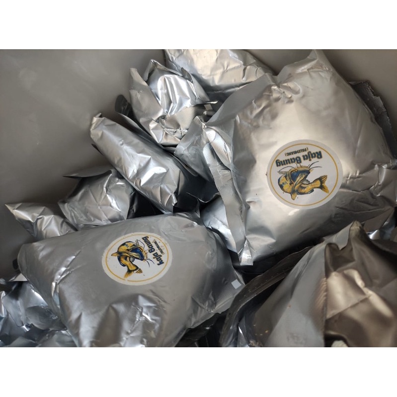 UMPAN KUCUR BAUNG KUCUR RAJA BAUNG (SUPER)