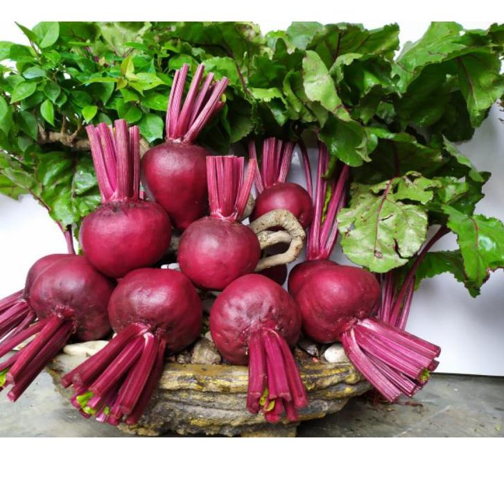 

[[VnT⭐]Buah Bit / Beetroot 1 Kg Fresh Langsung Dari Kebun