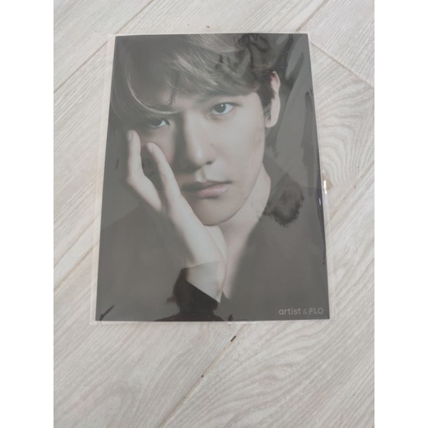 EXO Baekhyun BBH flo poster no pc