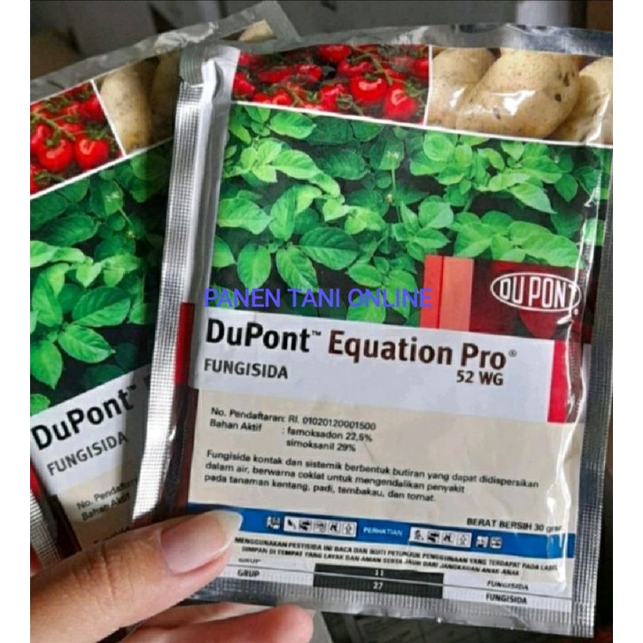 EQUATION PRO 52 WG isi 30gr