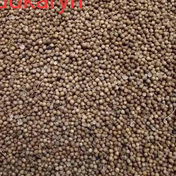 

✨ Biji Ketumbar Hitam 500gr 