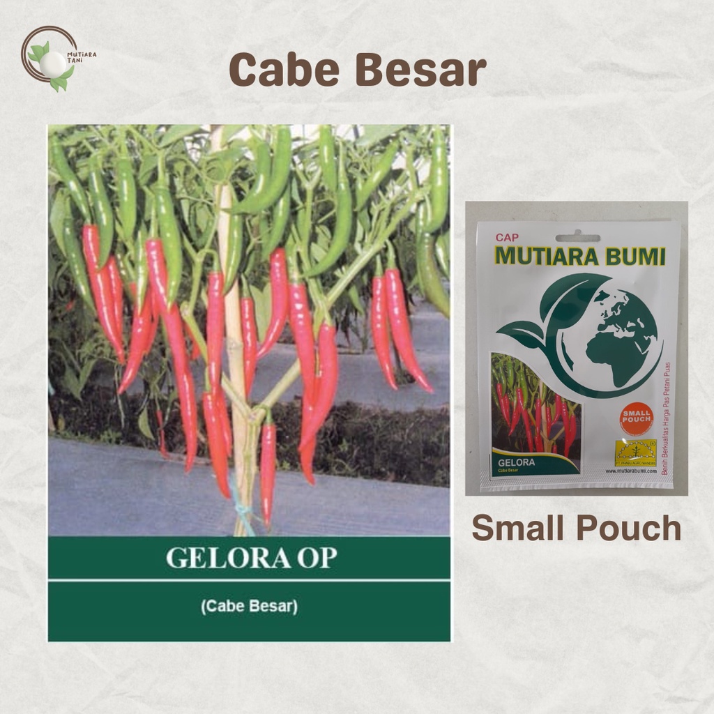 BENIH CABE CABE BESAR GELORA OP CAP MUTIARA BUMI | Small Pouch