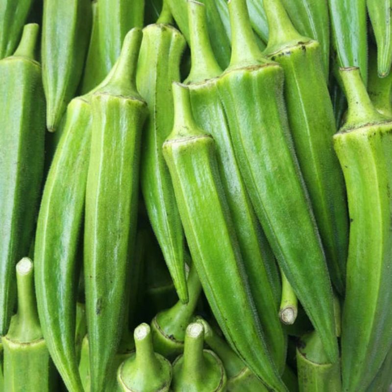 

Okra Hijau