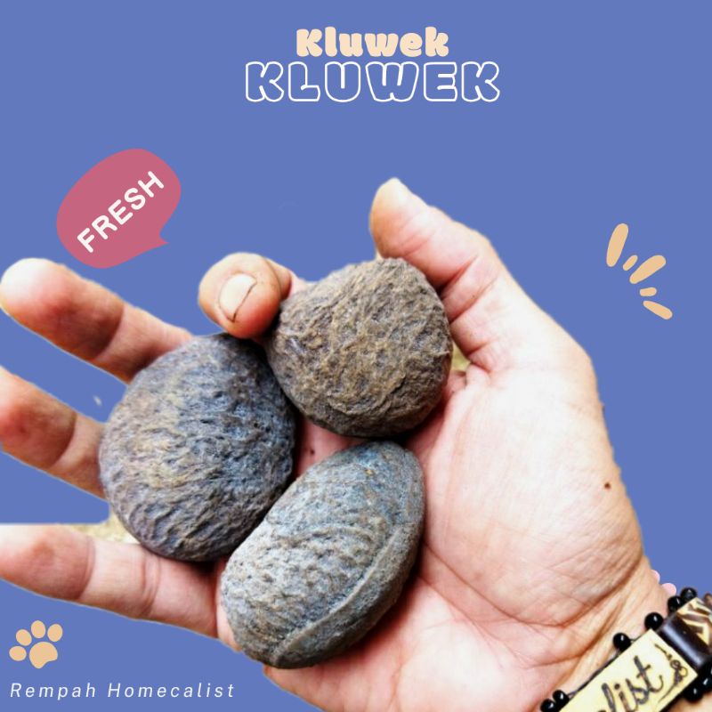 kluwek 100gram-Keluwuk-Pucung-Kluwek Rawon