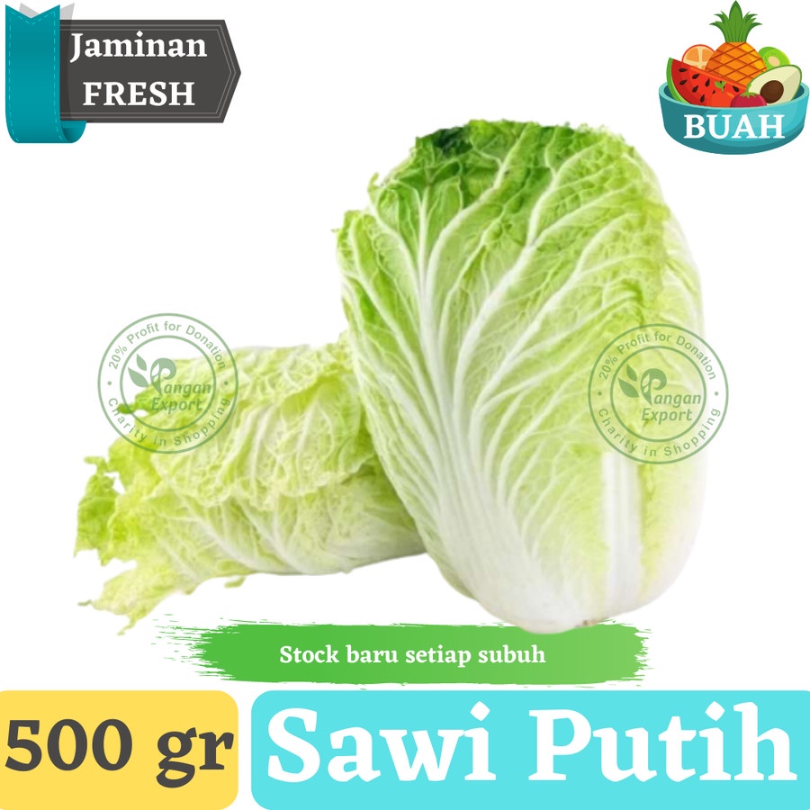 

Sawi Putih Chinese Cabbage Premium / Buah Bumbu Sayur Masak Export