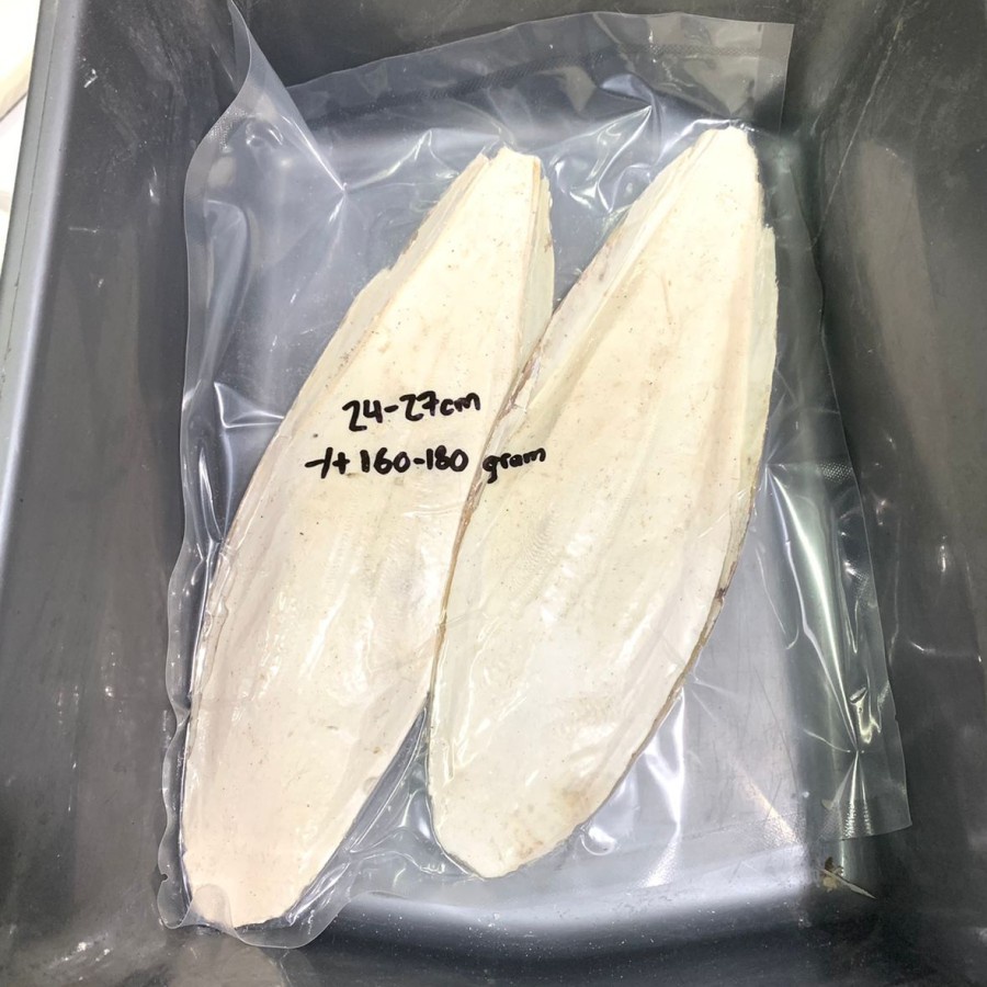 Tulang Sotong Jumbo 20-23cm -/+ 120 gram Sumber Kalsium Untuk Burung