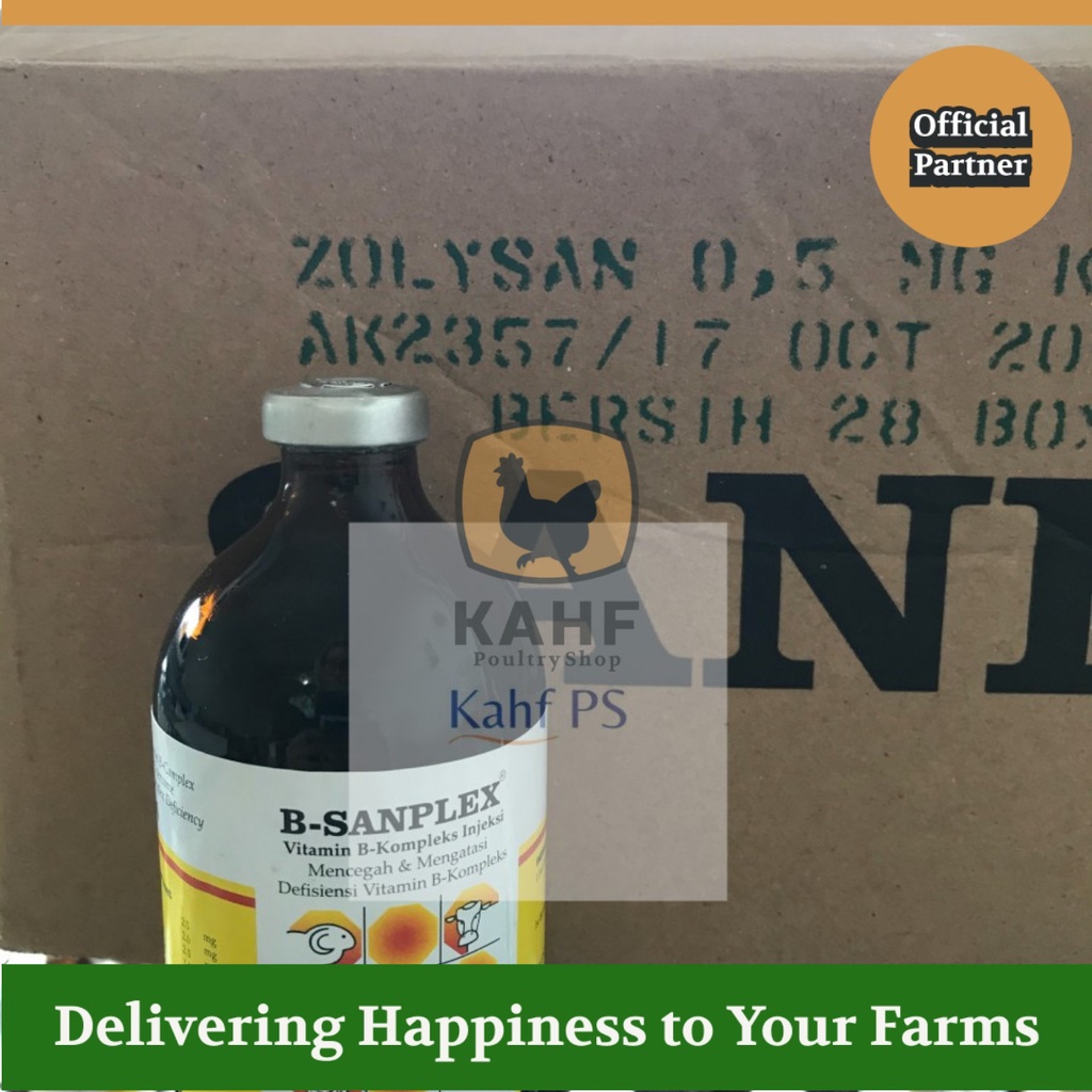 B Sanplex 100 ml Injeksi Vitamin B Kompleks Hewan