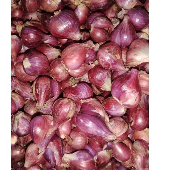

ID4v9Uj--BAWANG MERAH BREBES ASLI SUPER 1kg