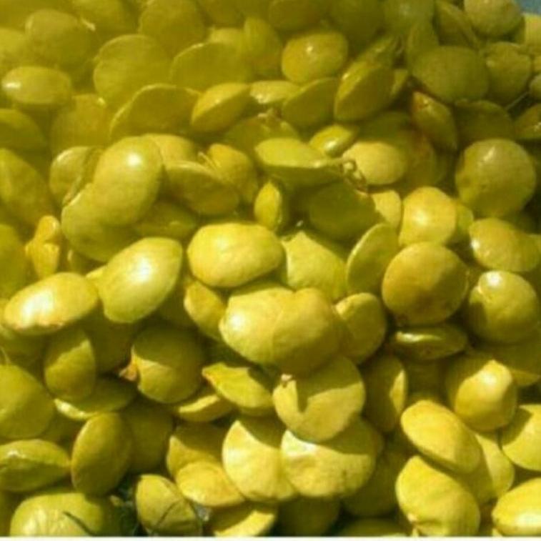 

BARU SPESIAL jengkol muda lalap 1kg ❁ 862