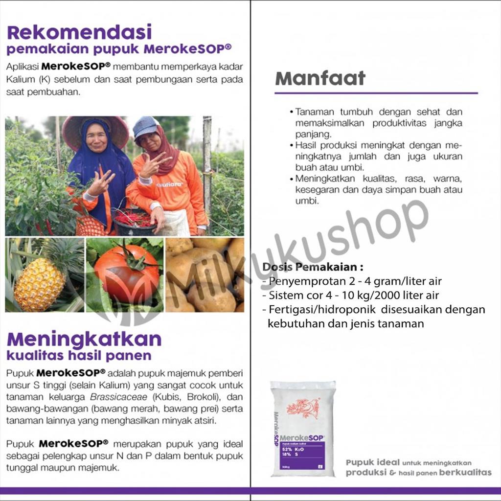 PUPUK MEROKE SOP 1 KG  KEMASAN PABRIK HIDROPONIK KALIUM SULFAT