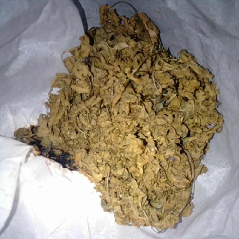 

Daun Ketumbar Kering