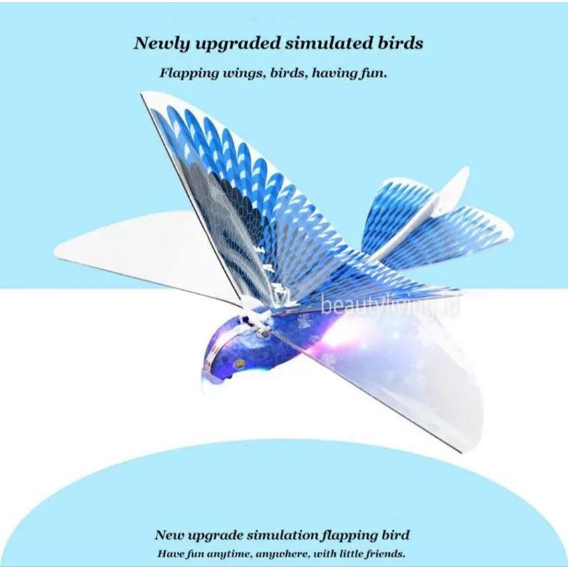 Flapping Simulation Flying Wing Bird C