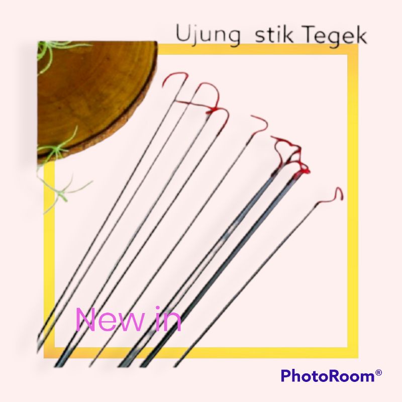 ujung stik tegek/pucuk tegek