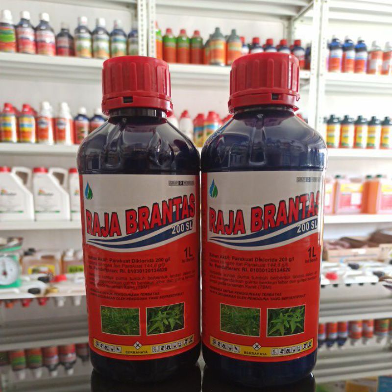 Raja Brantas 200SL/Herbisida/Racun Rumput