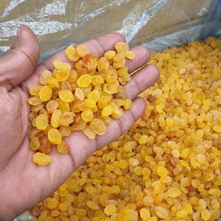 

Import Terlaris Kismis manis non biji 1kg simim gas !!