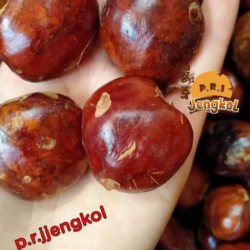 

Code6n1Mb--Jengkol/Jering 1Kg Sumatera BISA COD cocok buat semur rendang sambal ijo