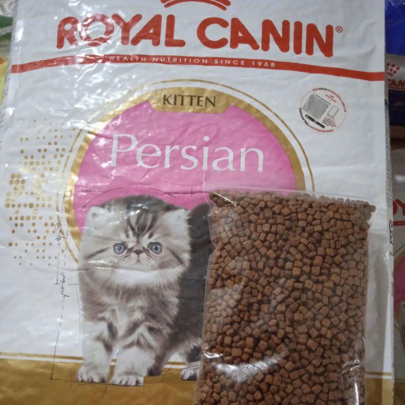 Royal Canin Kitten Persian 500g Makanan Anak Kucing