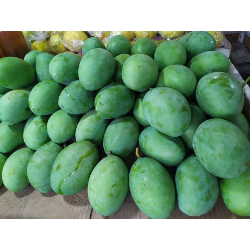 

MANGGA MANALAGI MADU ASLI PROBOLINGGO