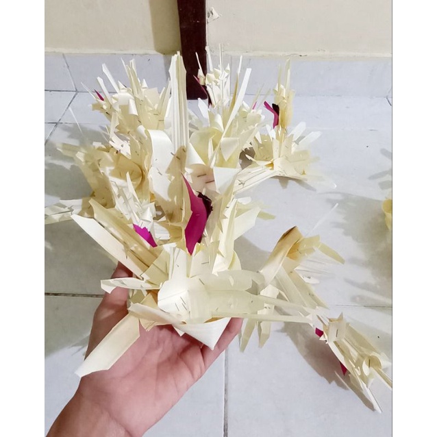 Penyeneng busung ibung