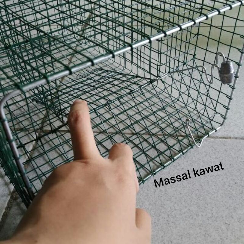 Perangkap tikus besi / Jebakan tikus / Perangkap musang